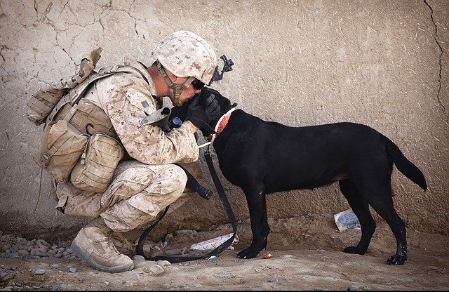 soldier with his dog